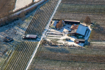 Gensheimer asparagus and fruit farm in winter with snow in Steinweiler in the state Rhineland-Palatinate, Germany