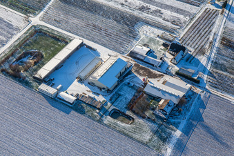 Farmer's garden in winter with snow in Winden in the state Rhineland-Palatinate, Germany