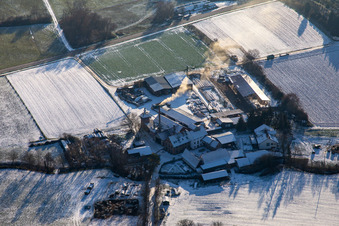 Holzwerk ORTH in winter with snow in the district Schaidt in Wörth am Rhein in the state Rhineland-Palatinate, Germany