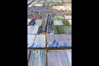 Wattstraße from the south in winter with snow in Freckenfeld in the state Rhineland-Palatinate, Germany