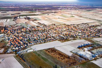 In winter when there is snow in Minfeld in the state Rhineland-Palatinate, Germany