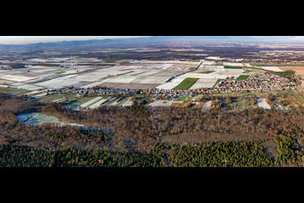 Panorama Saarstraße in winter with snow in Kandel in the state Rhineland-Palatinate, Germany
