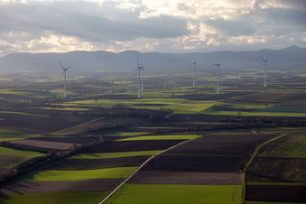 Wind farm Freckenfeld in Freckenfeld in the state Rhineland-Palatinate, Germany out of the air
