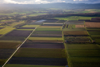 Drone image of District Mühlhofen in Billigheim-Ingenheim in the state Rhineland-Palatinate, Germany
