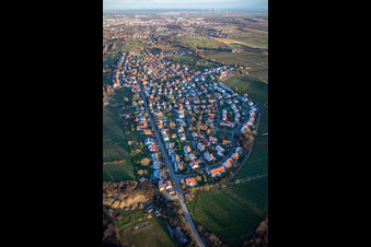 From the west in the district Arzheim in Landau in der Pfalz in the state Rhineland-Palatinate, Germany