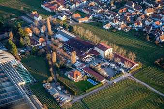 Werner Anselmann Winery, Gebrüder Anselmann GmbH in Edesheim in the state Rhineland-Palatinate, Germany
