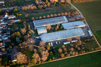 Organic Confectionery Löwenzahn; Upholstered Furniture Warehouse Sale in Gommersheim in the state Rhineland-Palatinate, Germany
