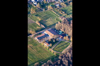 Icelandic Stud Bienwald in Freckenfeld in the state Rhineland-Palatinate, Germany