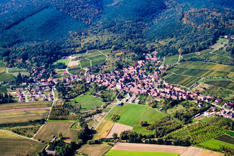 Aerial photograpy of Rott in the state Bas-Rhin, France