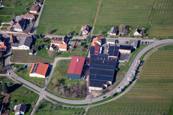 Aerial photograpy of Emil Wissing Winery GmbH in Oberotterbach in the state Rhineland-Palatinate, Germany