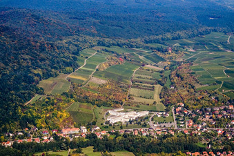 Aerial view of Sonnenberg to Schweigen in Wissembourg in the state Bas-Rhin, France