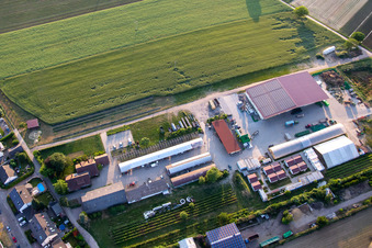 Kugelmann organic farm in Kandel in the state Rhineland-Palatinate, Germany from a drone