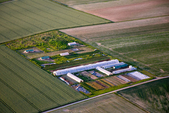 Steinweiler in the state Rhineland-Palatinate, Germany from above