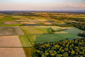 District Mühlhofen in Billigheim-Ingenheim in the state Rhineland-Palatinate, Germany from the drone perspective
