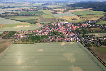Halberstadt/Sargstedt