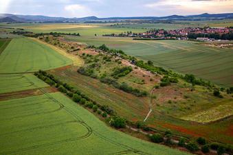 Aerial photograpy of Warnstedt Devil's Wall in the district Warnstedt in Thale in the state Saxony-Anhalt, Germany