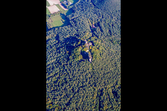 Drachenfels Castle Ruins in Busenberg in the state Rhineland-Palatinate, Germany from the plane