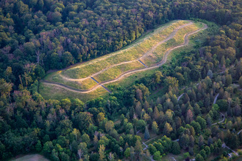 Climbing forest Blankenburg Climbing forest Blankenburg in Blankenburg in the state Saxony-Anhalt, Germany