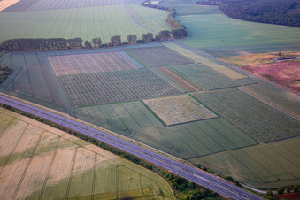 Test fields in the district Heimburg in Blankenburg in the state Saxony-Anhalt, Germany