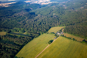 Aerial view of Ludwig shrub in the district Grillenberg in Sangerhausen in the state Saxony-Anhalt, Germany