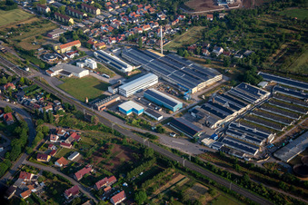 Aerial view of WM Agrar - Agriculture Wallhausen GmbH & Co.KG in Wallhausen in the state Saxony-Anhalt, Germany