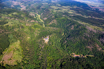 Castle Falkenstein (Harz) in the district Pansfelde in Falkenstein in the state Saxony-Anhalt, Germany from above