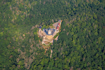 Castle Falkenstein (Harz) in the district Pansfelde in Falkenstein in the state Saxony-Anhalt, Germany seen from above