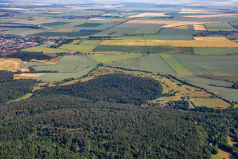 Golf Club Schloss Meisdorf eV in the district Meisdorf in Falkenstein in the state Saxony-Anhalt, Germany