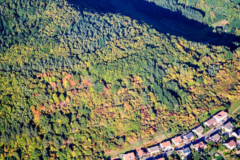Am Wingertsberg in Waldhambach in the state Rhineland-Palatinate, Germany