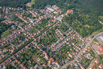 Avenue to the castle in Ballenstedt in the state Saxony-Anhalt, Germany out of the air