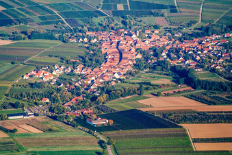 From the west in Göcklingen in the state Rhineland-Palatinate, Germany