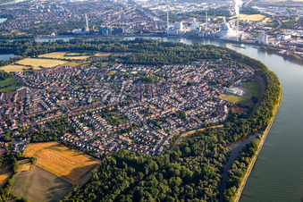 Aerial view of Against the backdrop of the GKM in Altrip in the state Rhineland-Palatinate, Germany