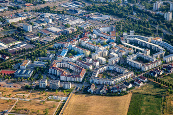 Aerial view of Ida Dehmel Ring in the district Käfertal in Mannheim in the state Baden-Wuerttemberg, Germany