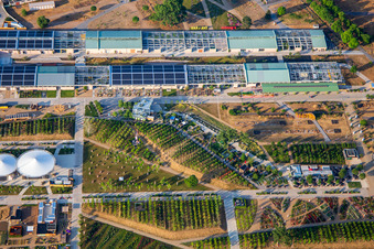 Experimental Field Behind the main stage in Spinelli Park at the Federal Garden Show (BUGA) 2023 in the district Feudenheim in Mannheim in the state Baden-Wuerttemberg, Germany