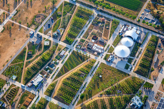Main stage in Spinelli Park of the Federal Garden Show Mannheim BUGA 2023 in the district Käfertal in Mannheim in the state Baden-Wuerttemberg, Germany