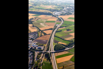 A659 motorway in Viernheim in the state Hesse, Germany