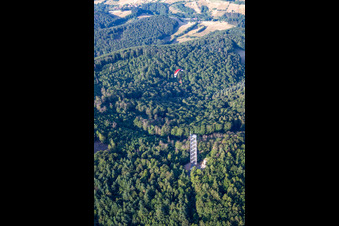 Aerial photograpy of Drum Tower Rimbach in the district Zotzenbach in Rimbach in the state Hesse, Germany