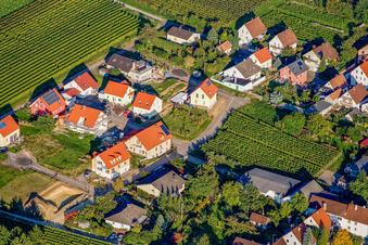 At Kieselberg in Göcklingen in the state Rhineland-Palatinate, Germany