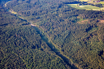 Forest clearing for the high-voltage line in the district Hüttenthal in Mossautal in the state Hesse, Germany