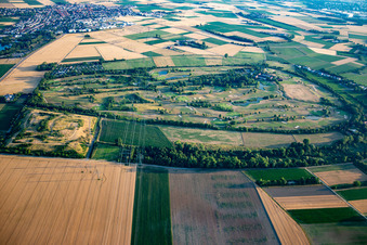Golf course Heddesheim Gut Neuzenhof in Heddesheim in the state Baden-Wuerttemberg, Germany viewn from the air