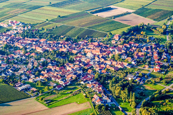 Aerial view of From the south in Göcklingen in the state Rhineland-Palatinate, Germany