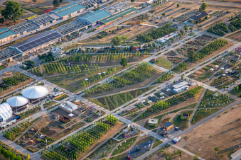 Experimental Field in Spinelli Park at the Federal Garden Show (BUGA) 2023 in the district Feudenheim in Mannheim in the state Baden-Wuerttemberg, Germany