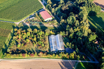 Greenhouse in the district Heuchelheim in Heuchelheim-Klingen in the state Rhineland-Palatinate, Germany