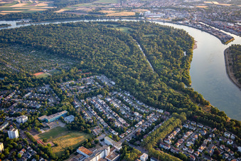 Reißinsel, nature reserve in the Rhine bend in the district Niederfeld in Mannheim in the state Baden-Wuerttemberg, Germany