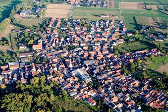 Aerial view of Town View of the streets and houses of the residential areas in the district Ingenheim in Billigheim-Ingenheim in the state Rhineland-Palatinate