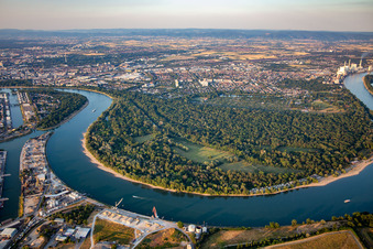 Reißinsel and Waldpark, nature reserve in the Rhine bend from the south in the district Niederfeld in Mannheim in the state Baden-Wuerttemberg, Germany