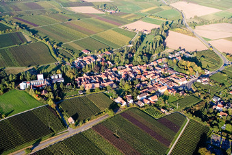 Aerial view of Town View of the streets and houses of the residential areas in the district Appenhofen in Billigheim-Ingenheim in the state Rhineland-Palatinate