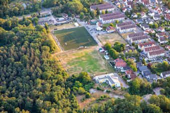 DJK SV Phönix Schifferstadt in Schifferstadt in the state Rhineland-Palatinate, Germany