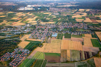 From the north in Schwegenheim in the state Rhineland-Palatinate, Germany