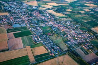 Aerial view of From the west in Schwegenheim in the state Rhineland-Palatinate, Germany